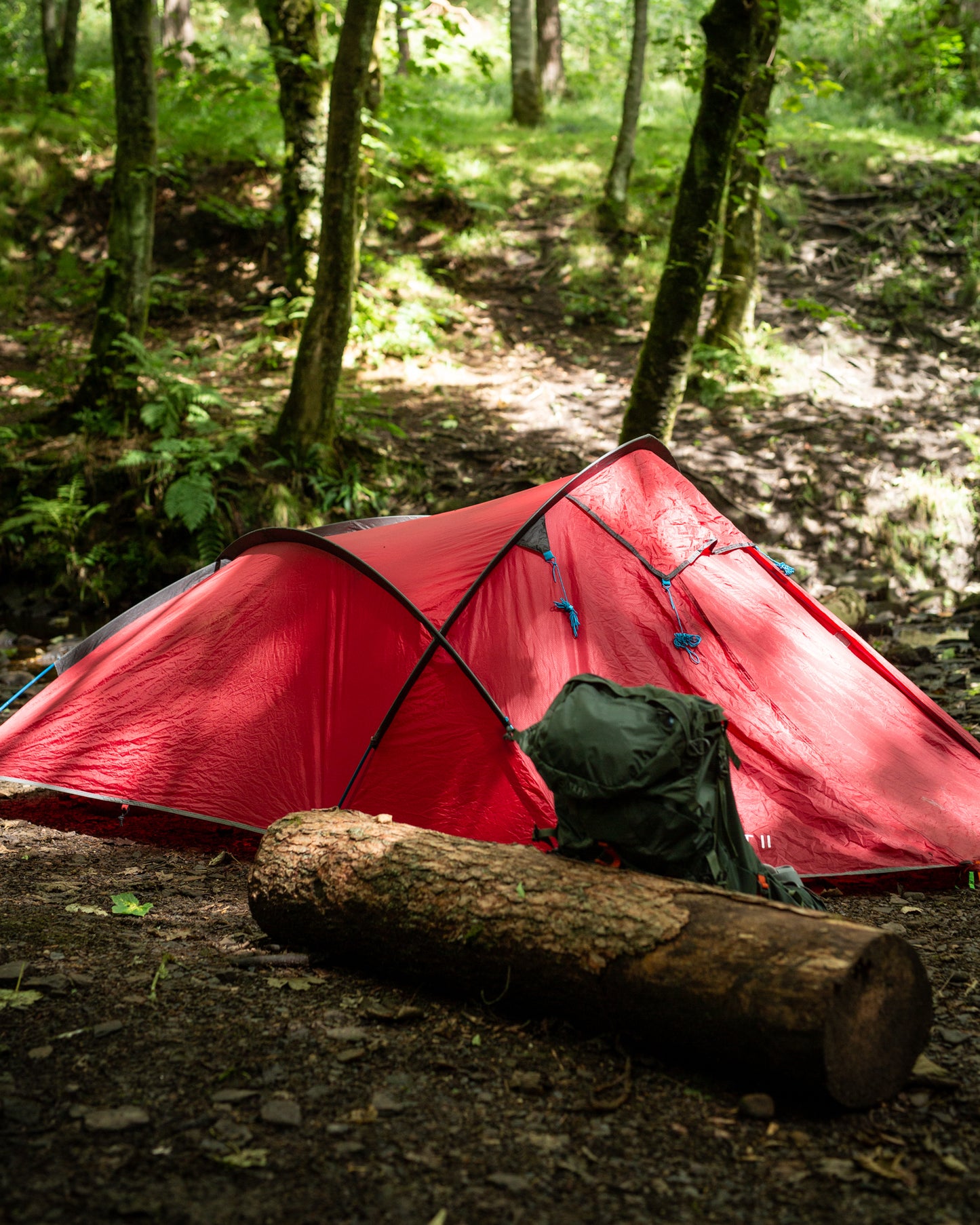 Tent & Gear Wash Spray